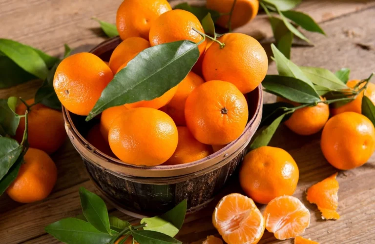 🍊 Mandarinas: Orgullo de Patate