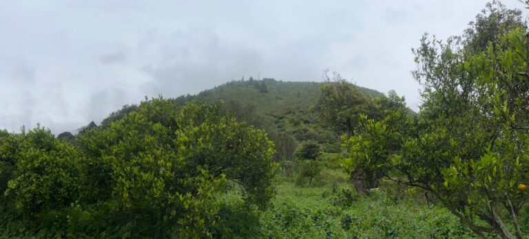 🏞️Finca La Herencia